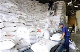 Kiểm soát tốt việc nhập và xuất, theo dõi tồn kho hàng dự trữ 