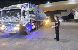 Sớm gỡ vướng thông quan để đảm bảo nguồn cung ứng sản xuất 