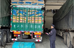 Tạm dừng Nghị định 46: Hải quan ‘tăng tốc’ thông quan hàng thực phẩm 