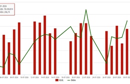 Cổ phiếu niêm yết HNX tháng 1/2026: Thanh khoản tăng 31,41% 