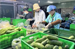 Thưởng Tết Bính Ngọ 2026 tăng hơn năm ngoái dù kinh tế nhiều biến động 