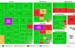 Sắc xanh ‘bùng nổ’, nhà đầu tư cần phân bổ tỷ trọng hợp lý 