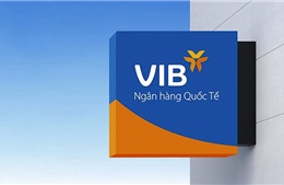 VIB đặt mục tiêu lợi nhuận 11.550 tỷ đồng, chia cổ tức gần 19%