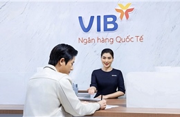 Tổng tài sản VIB vượt nửa triệu tỷ đồng sau 6 tháng