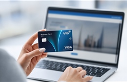 SME Việt thanh toán quốc tế 0% phí chuyển đổi ngoại tệ với thẻ thanh toán VIB Business