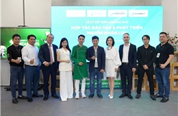 Hợp tác phát triển nguồn nhân lực kỹ thuật số và hoạt hình