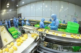 Khuyến cáo với các doanh nghiệp hợp tác kinh doanh tại Trung Đông