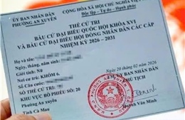 Hành vi thu thập, sử dụng trái phép thông tin cá nhân sẽ bị xử phạt ra sao?