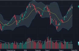 Thị trường chứng khoán tăng hơn 22 điểm 