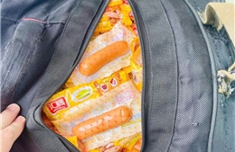 Hàng tấn thịt ‘bẩn’, mốc xanh định tuồn vào thị trường nội địa