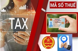 Làm sạch mã số thuế, gỡ ‘điểm nghẽn’ trong kinh doanh 