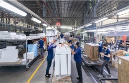 Loạt doanh nghiệp mạnh tay chia tiền cho cổ đông