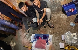 Hải quan tăng cường ngăn chặn ma túy tại các địa bàn trọng điểm