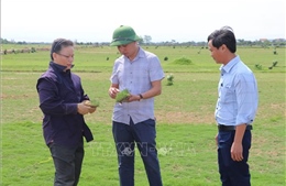 Khơi thông điểm nghẽn đang kìm hãm tín dụng xanh 