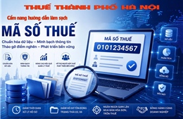 Chiến dịch làm sạch mã số thuế: Minh bạch hóa môi trường kinh doanh 
