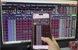 Có nhịp bật hồi nhẹ nhưng áp lực bán chưa giảm, VN-Index lùi về mốc 1.660 điểm 