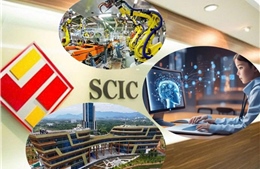 Quỹ đầu tư Quốc gia: Công cụ hỗ trợ và dẫn dắt dòng vốn dài hạn