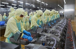 Gia hạn nộp thuế và tiền thuê đất năm 2026 theo Nghị định 245 có gì mới?