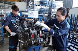 Tín dụng cần đánh giá doanh nghiệp dựa trên dòng tiền, quản trị và công nghệ
