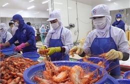 'Khoan thư sức dân', tạo dư địa cho doanh nghiệp phục hồi 