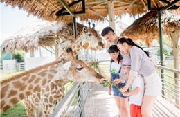 Tổ ấm của hơn 2000 động vật hoang dã ở vườn thú lớn nhất Bắc Trung bộ