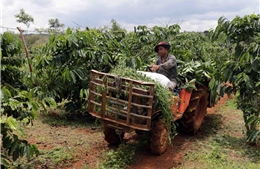 Vốn chính sách chung sức xây dựng nông thôn mới ở Đắk Nông