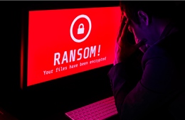 Hơn 230.000 người dùng đã bị ransomware tấn công trong quý 2/2019