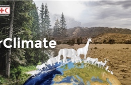TikTok chung tay chống lại biến đổi khí hậu