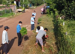 Vedan Việt Nam tài trợ 700 cây xanh cho &#39;Tuần lễ Đồng Nai xanh&#39; 2020