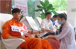 Cán bộ, công nhân Công ty Điện lực Phú Yên hiến máu cho cấp cứu, điều trị dịp Tết