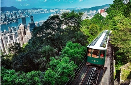 Tổng cục Du lịch Hồng Kông chính thức mở cửa và cấp phép du lịch cụ thể 