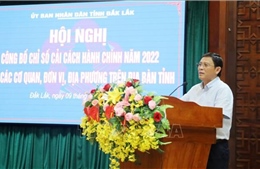 Hội nghị công bố kết quả Chỉ số cải cách hành chính năm 2022