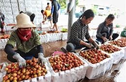 Bắc Giang: Đẩy mạnh phát triển kinh tế-xã hội cho đồng bào miền núi