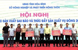 Hòa Bình: Đạt và vượt nhiều chỉ tiêu phát triển kinh tế, xã hội 8 tháng năm 2024