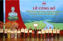 Ninh Bình hoàn thành xây dựng nông thôn mới: Dấu mốc đặc biệt, có ý nghĩa quan trọng