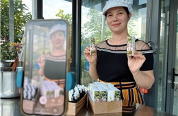 Vườn Nhà Minh tiếp cận gần gũi, gắn với trải nghiệm thực tế của người dùng