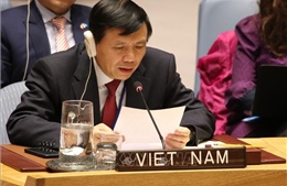 Việt Nam ủng hộ &#39;thúc đẩy và bảo đảm quyền con người&#39; 