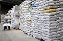 SunRice hoàn tất mua lại nhà máy chế biến gạo tại Việt Nam