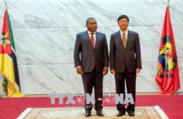 Mozambique hoan nghênh doanh nghiệp Việt Nam sang đầu tư kinh doanh
