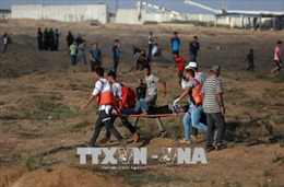 Hơn 180 người Palestine bị thương do đụng độ với binh sĩ Israel ở Gaza