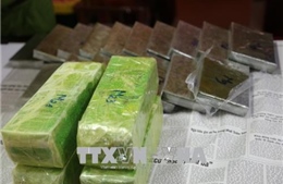 Nghệ An triệt phá đường dây mua bán trái phép 19 bánh heroin
