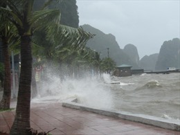 Ứng phó với bão số 4: Huyện đảo Bạch Long Vĩ đã có gió cấp 7