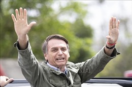 Tổng thống Mỹ gọi điện chúc mừng Tổng thống Brazil Bolsonaro đắc cử