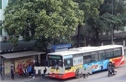Từ 1/9, Hà Nội miễn phí đi xe buýt cho người thuộc diện ưu tiên 