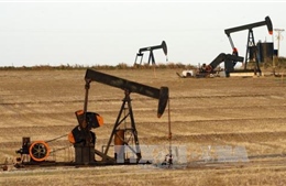 Ngành dầu khí Mỹ chịu áp lực từ biện pháp trả đũa thương mại của Trung Quốc