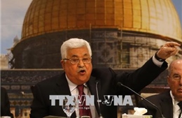 Palestine chỉ trích Luật Quốc gia dân tộc Do Thái của Israel