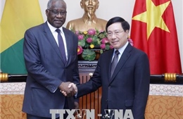 Cộng hòa Guinea coi trọng quan hệ với Việt Nam