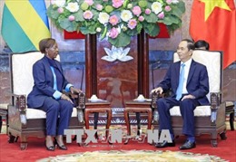 Đề nghị tăng cường trao đổi đoàn cấp cao giữa Việt Nam với Rwanda và Guinea