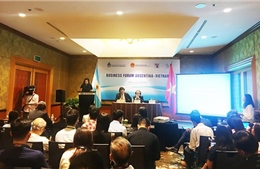 Diễn đàn doanh nghiệp Việt Nam – Argentina: Mối quan hệ cùng kiến tạo giá trị