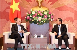 Củng cố, tăng cường quan hệ đối tác chiến lược Việt Nam - Argentina